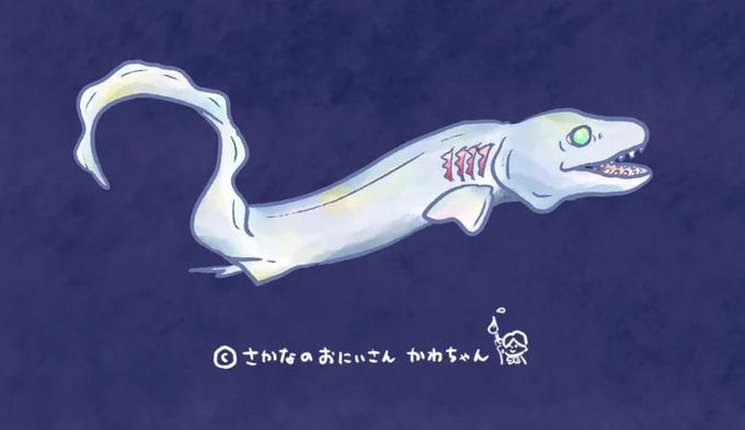 最近サメをよく描いてます 