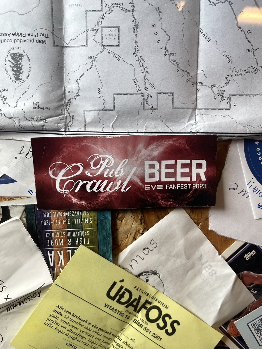 I have 2 extra days (1 left) and I love finding hidden #evefanfest swag in random places 

#tweetfleet