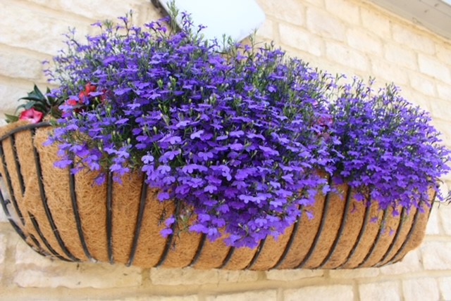 HMPMaidstone tweet media