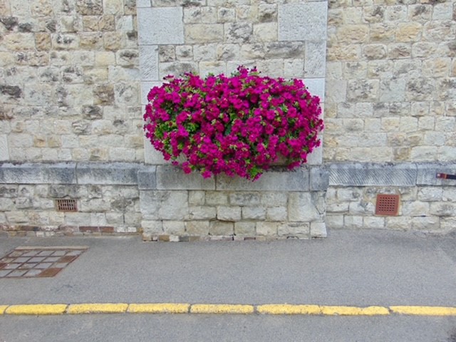 HMPMaidstone tweet media