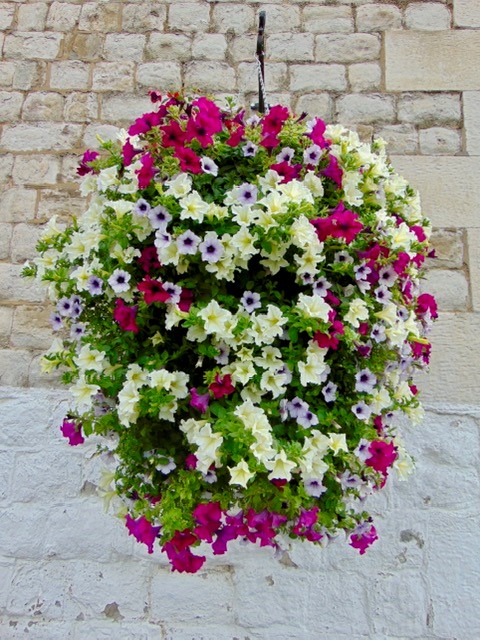 HMPMaidstone tweet media