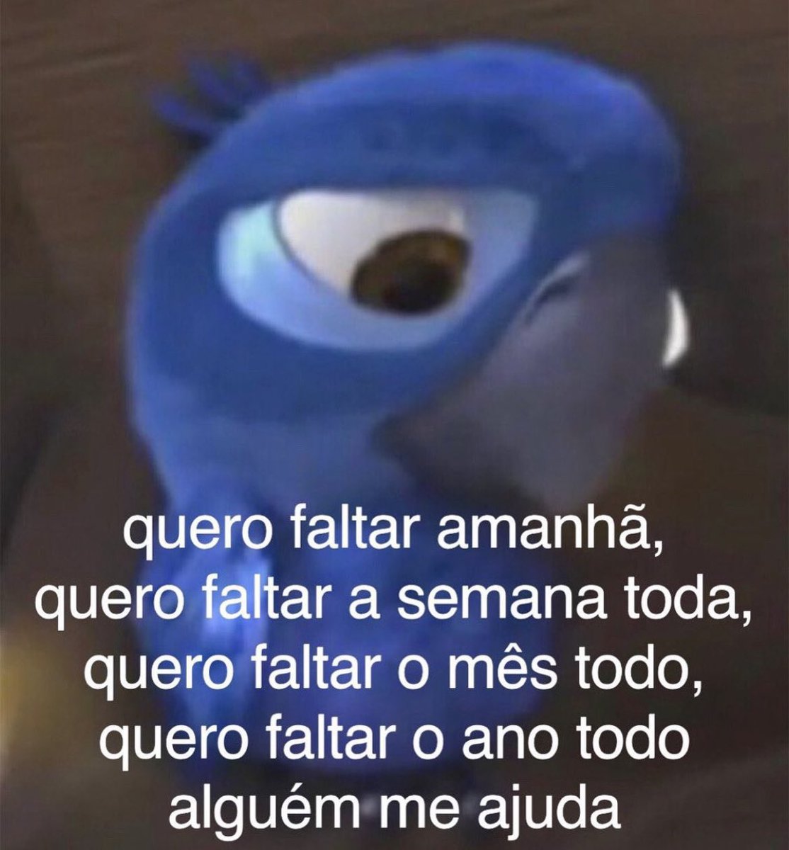 toda semana é isso