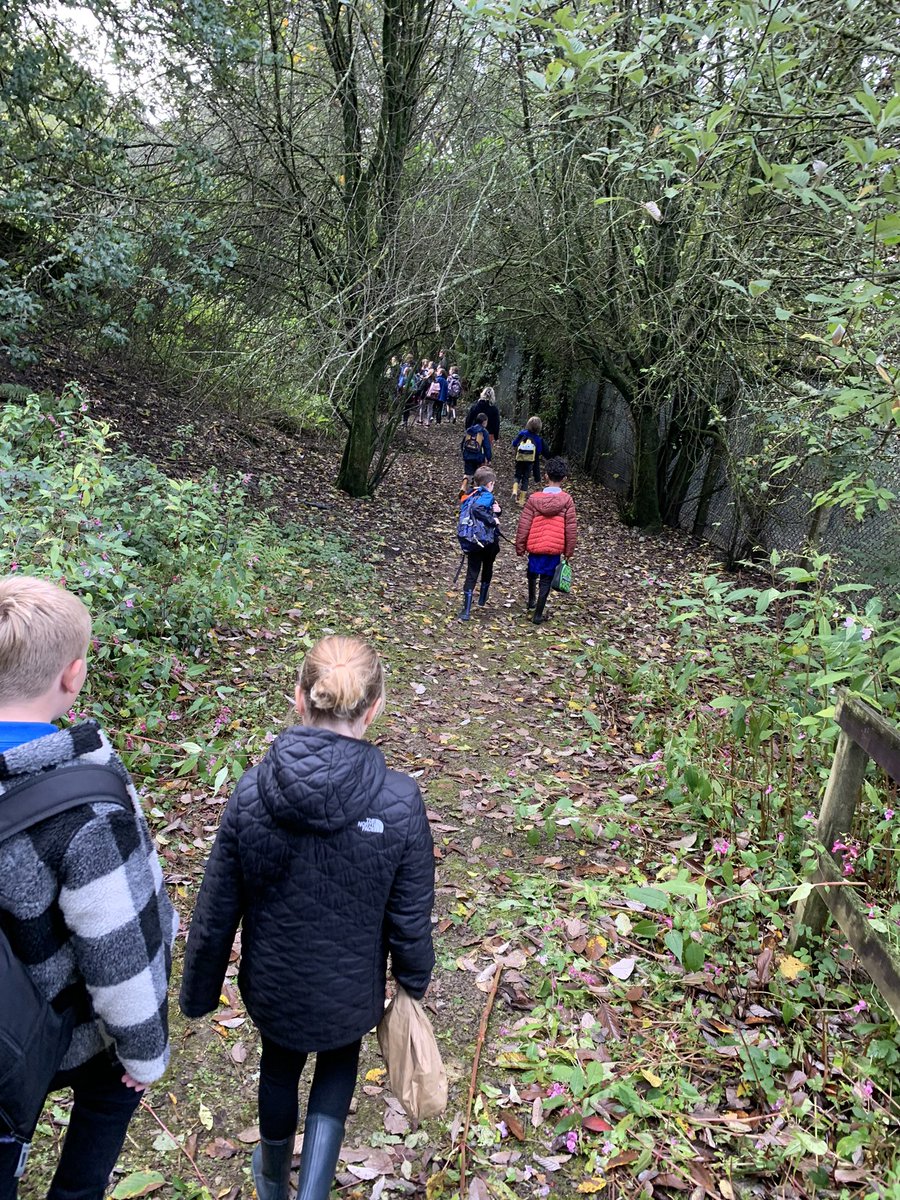 Paul58Paul's tweet photo. @BarryPSIsland #Celyn @discoverdwr Lovely woodland walk to the Ed Centre. https://t.co/mkA1Qmzd9a