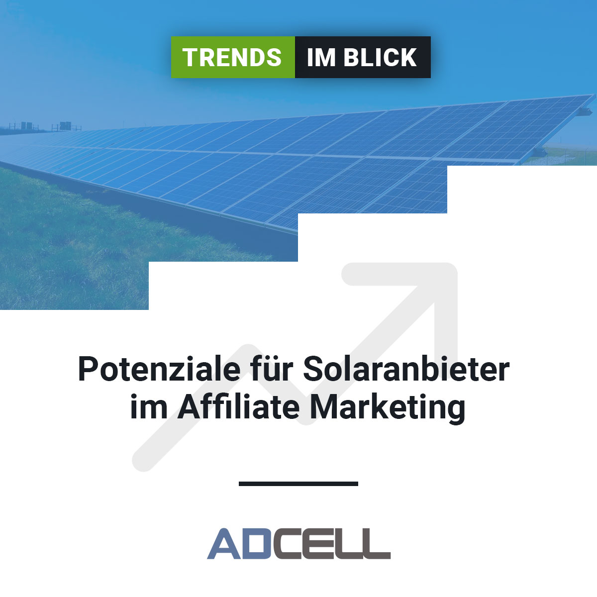 Solaranbieter – Der neue Trend von heute💡 

Unser Blick auf den Markt nimmt heute die Potenziale von Solaranbietern genauer unter die Lupe. 

Mehr dazu in unserem Newsbeitrag:
lnkd.in/egpsa4rM 📷 

#affiliatemarketing #trend #solarenergie #publisher