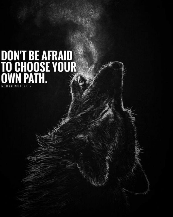 MeantForMore22's tweet photo. #MeantForMore22 #mentalhealth
#quoteoftheday #strongwomen
#inspirationalquotes #boundaries
#motivationalquotes #nevertoolate
#youareenough #keepfighting
#liveyourlife #resilience #warrior
#courage #beyourself #betruetoyourself
#itsyourjourney #nevergiveup
#youarenotalone #you https://t.co/1E0mU49eVI