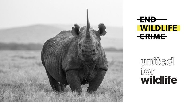 Global Initiative to End Wildlife Crime is delighted to announce it has joined @united4wildlife. Our Initiative is proud to be #unitedforwildlife & united to #endwildlifecrime Full story via LinkedIn here shorturl.at/atCM8