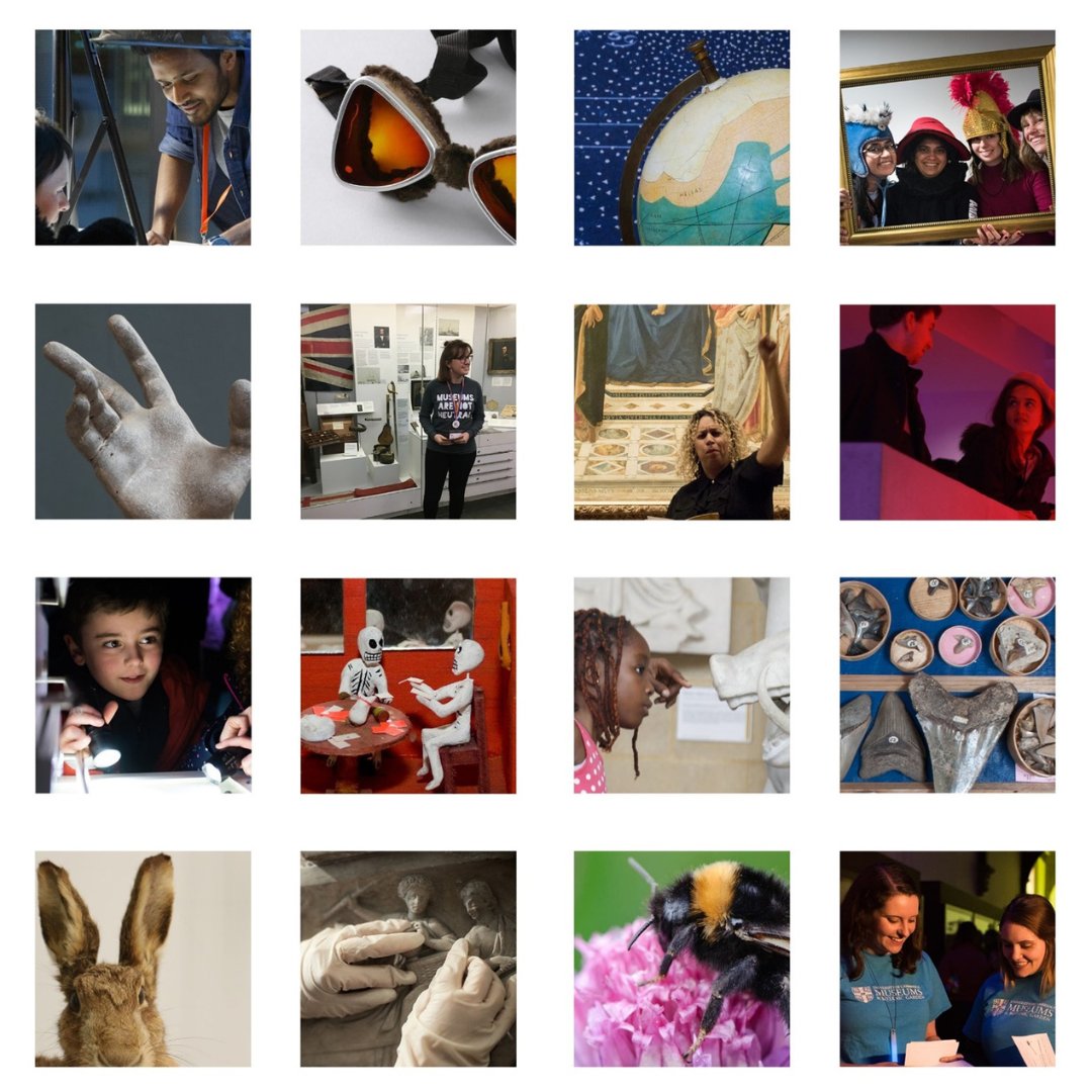 University of Cambridge Museums tweet media