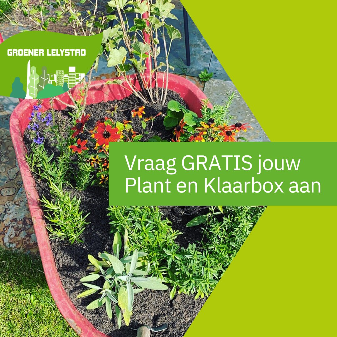 gem_Lelystad's tweet photo. Vergroen je tuin! 🌿 Vraag jouw gratis Plant en Klaarbox aan en ontvang een #struik, 2 vaste #planten, #bloembollen én een zak aarde. Met het makkelijke stappenplan weet je precies hoe je jouw tuintje het beste onderhoudt. Meer info 👉 https://t.co/mLEAkebnuW @ivnflevoland https://t.co/28E3nSBir1