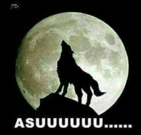 _sehati___'s tweet photo. @mukidioon3 https://t.co/1RjZ1XNWC1