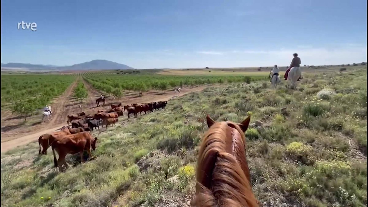 AQHT_TVE's tweet photo. 🌱Devolver fertilidad al suelo
🍅Recuperar especies autóctonas
🍈Apostar por biodiversidad…
es la AGRICULTURA REGENERATIVA🧑‍🌾

Visitamos una finca murciana que es ejemplo de esta forma de crear RIQUEZA y EMPLEO

📌La agricultura regenerativa genera empleo
https://t.co/z19nOk4HPk https://t.co/0MaPkiiJQx