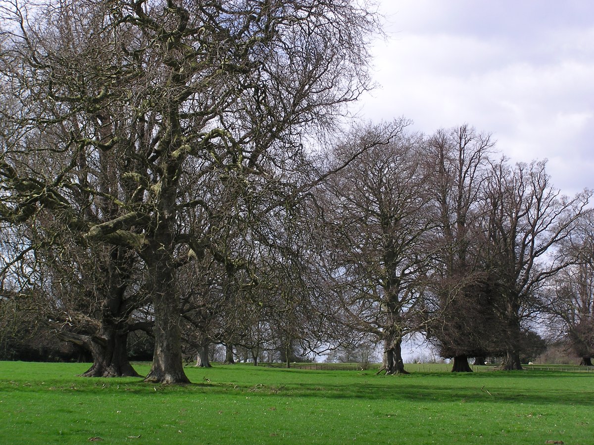 KentFieldClub's tweet image. Local #Wildlife Sites are essential to #RebuildingBiodiversity and the #30x30 target for protecting lands and sees. So we're delighted that @KentWildlife will be at the Kent Wildlife Conference on 21 October to discuss LWS monitoring. Book your place here: kentfieldclub.org.uk/programme/upco…