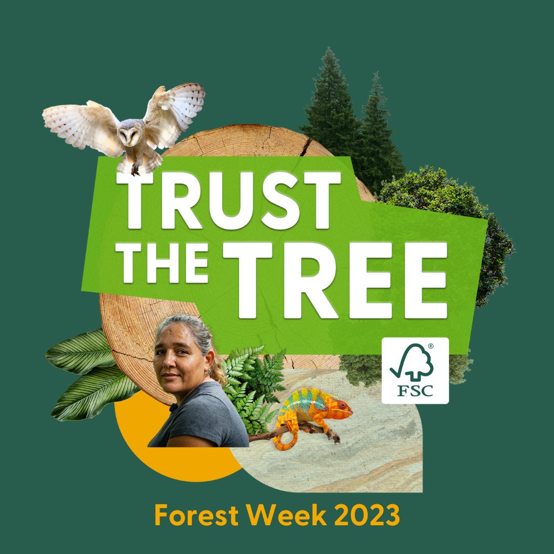 Die #FSCForestWeek ist in vollem Gange!
Unser Engagement für den Schutz der Wälder ist  stärker denn je! In dieser Woche gilt: #TrustTheTree and Choose FSC. Finde heraus, wie du etwas bewirken kannst: fsc.org/forestweek
