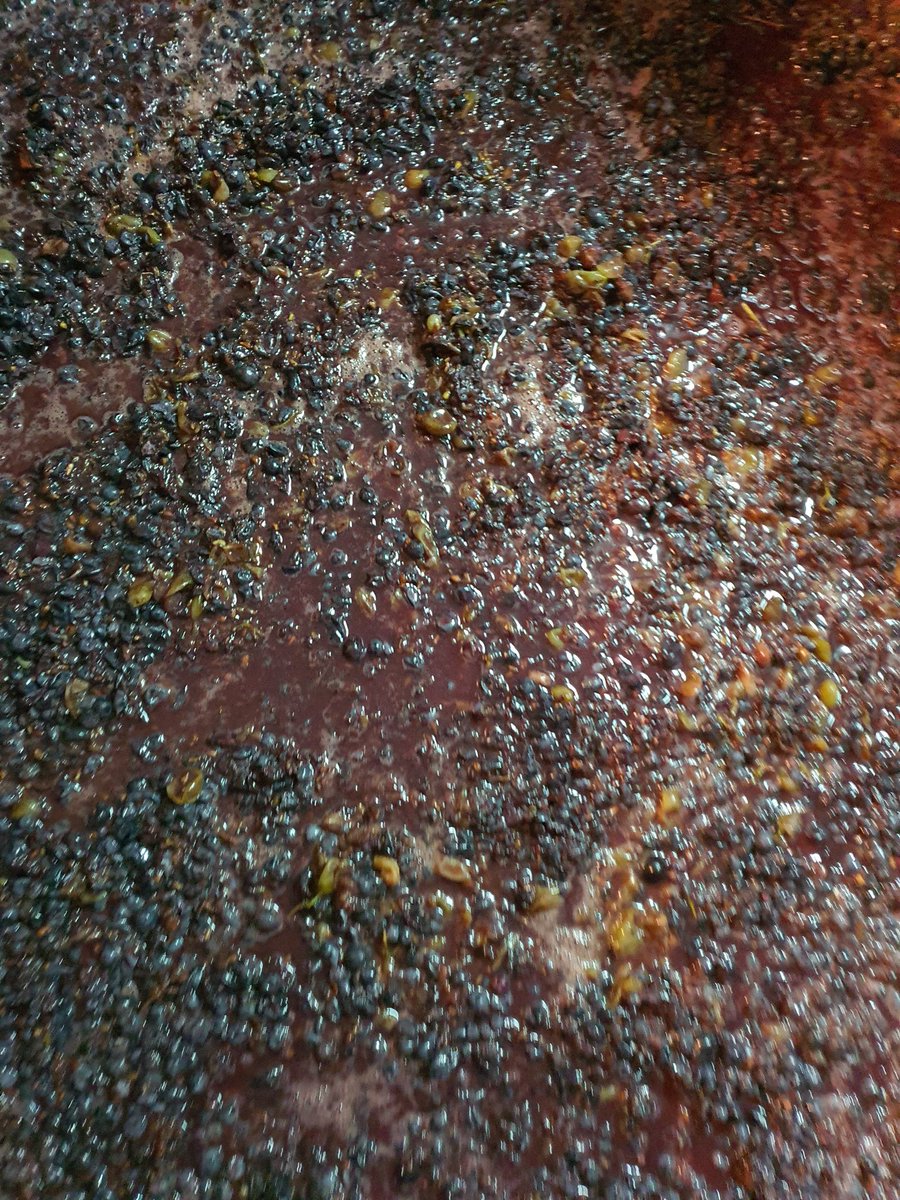 CryptoGeek tweet media