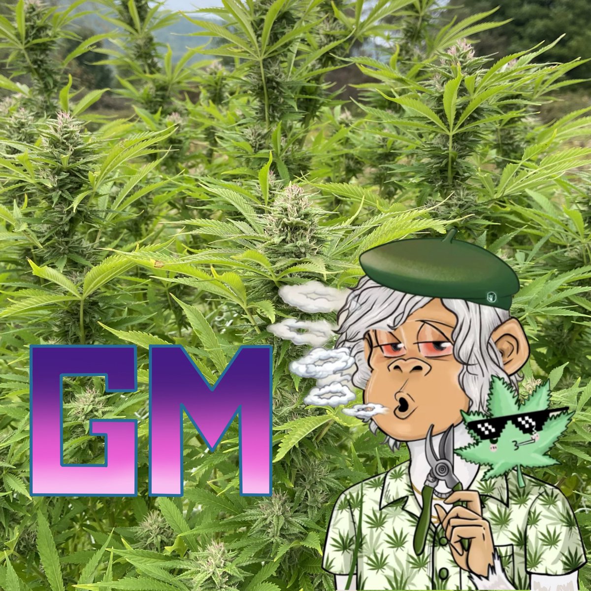 Shane 🎸 tweet media