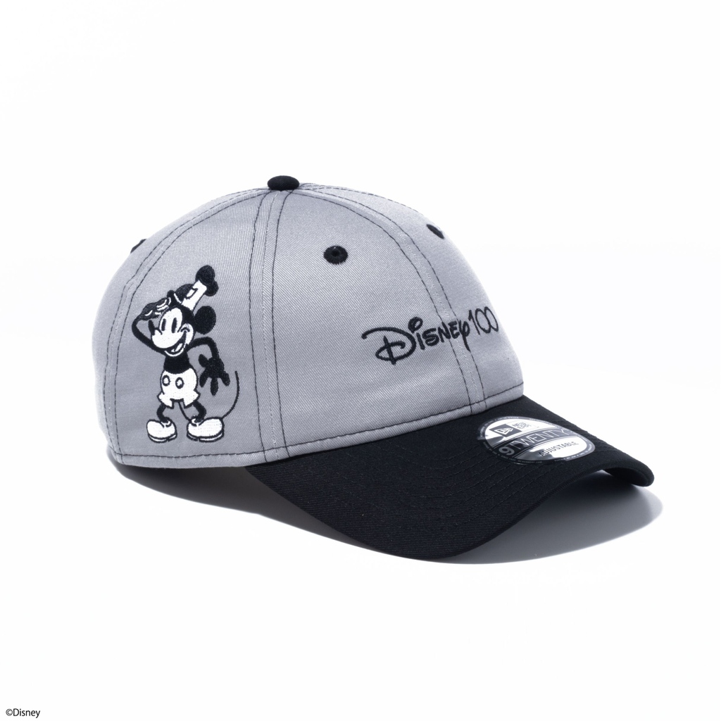 Disney】 ディズニー社創立100周年を記念したスペシャルコレクションが