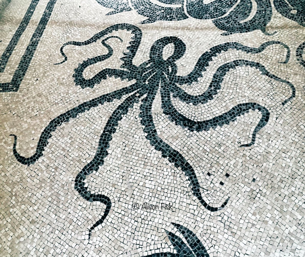 Alison Fisk tweet media