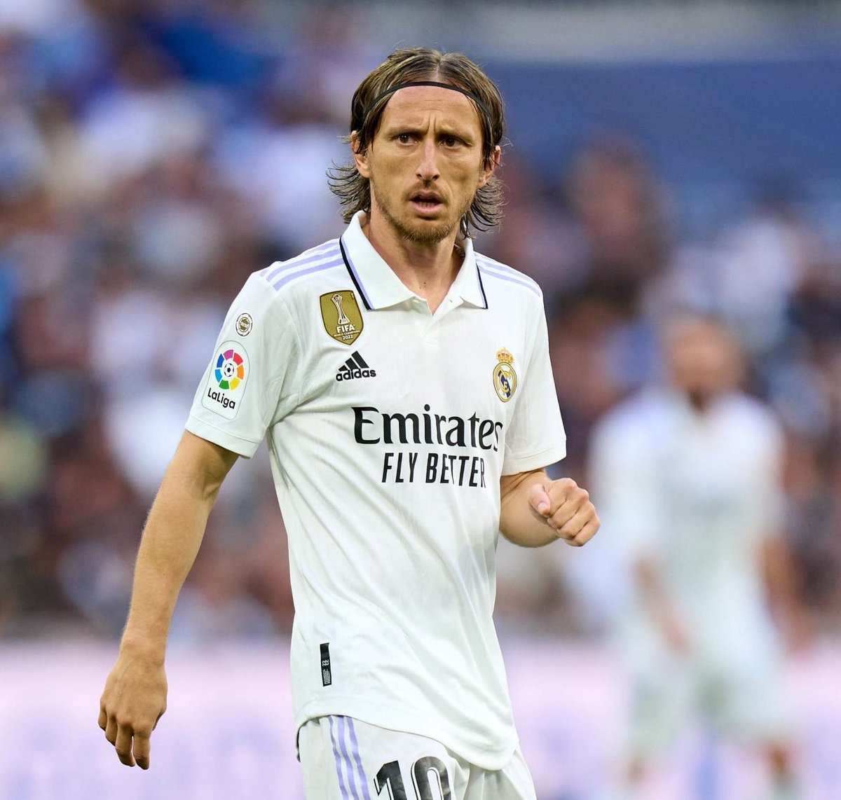 ElInmortal____'s tweet photo. Luka Modric tiene que elegir, o Croacia o Real Madrid.

Si elige Croacia al banquillo hasta que deje la selección.

Si elige el Real Madrid que se despida de Croacia para siempre.

Ya está bien de tanta tontería. Se está riendo de nosotros, y por lo mismo matamos a Sergio Ramos. https://t.co/tqqLHQeFnl