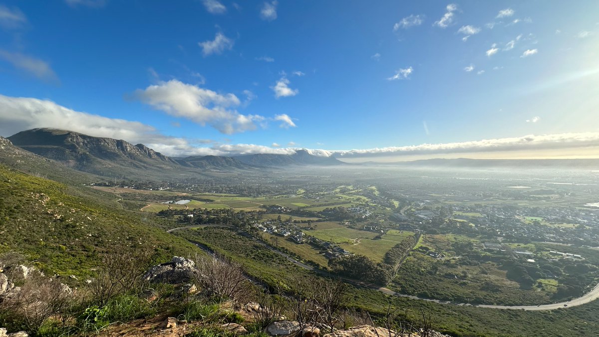 WaynesWorldza tweet picture