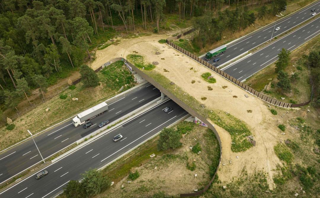 Cet été, l’écopont d’Ermenonville a été inauguré ! 
Aux côtés d’Arval et Améten, Arcadis a accompagné <a href="/sanef_groupe/">Sanef groupe</a> dans la conception &amp; la réalisation de cet ouvrage qui offre un chemin de passage pour la faune et apporte une continuité écologique entre les massifs forestiers.