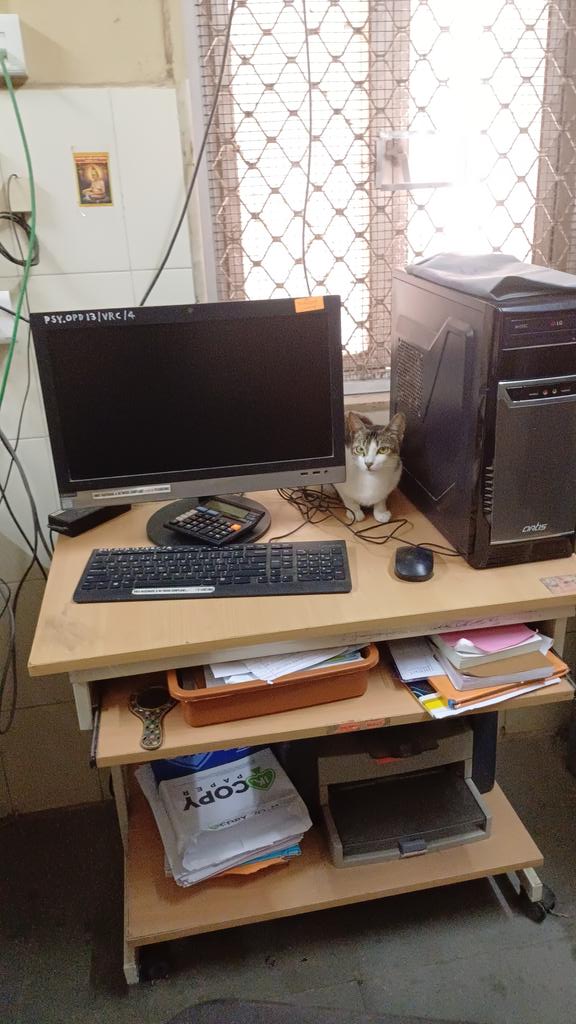 When cat meets mouse: found this cuteness at a public hospital today