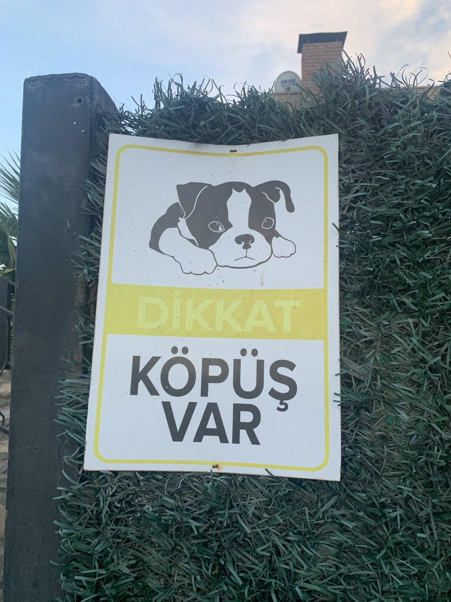 Ben ikna oldum …😜