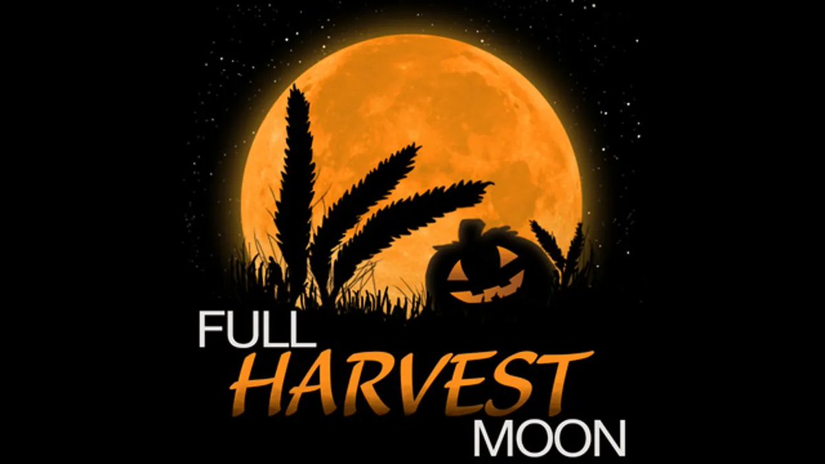 demonologist666's tweet image. SEPTEMBERS HARVEST MOON
In 2023, September’s Full Moon is called the Harvest Moon. It takes place on September 29th and reaches its peak illumination. Typically the Harvest Moon lands in September, but occasionally it lands in October (about every three years).