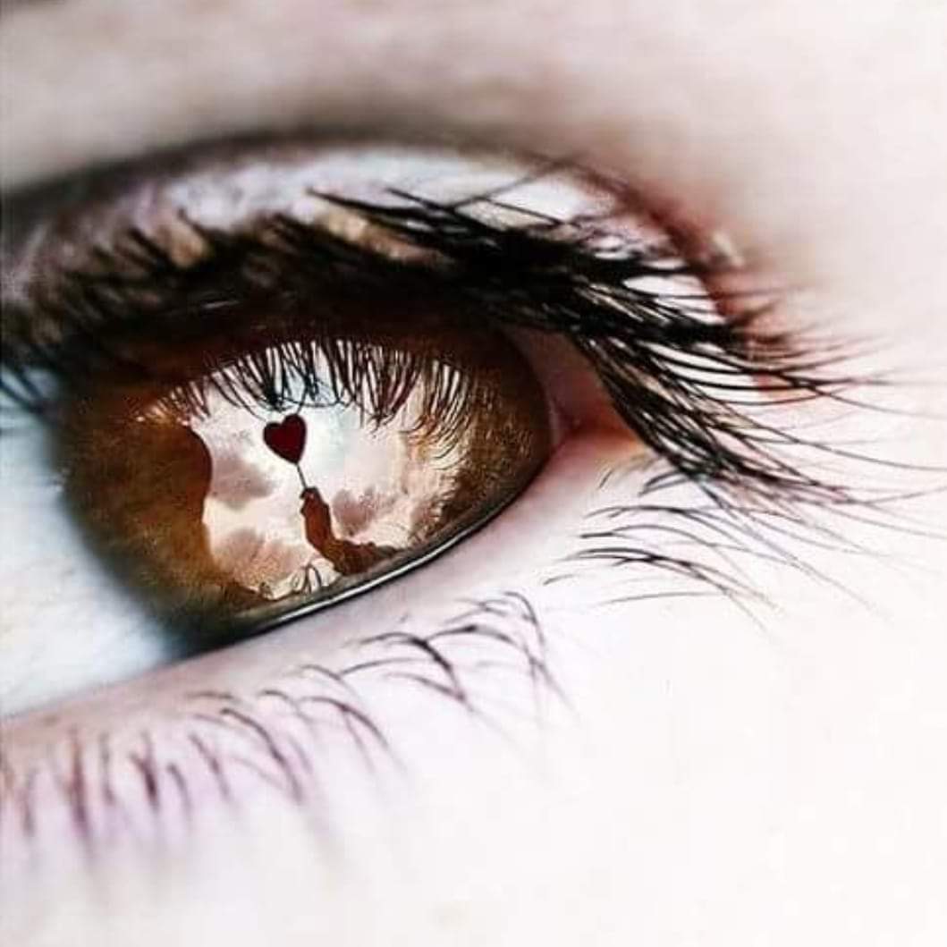 AnnickRoute's tweet photo. "On ne voit bien qu'avec le coeur ...l'essentiel est invisible pour les yeux" ...extrait du petit Prince d' Antoine de St Exupéry https://t.co/FpD8nTtKjg