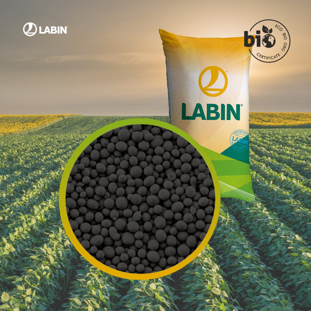 Ya disponemos de la nueva formulación de ORGAMAX E, para así adaptarnos a las necesidades reales del mercado agrícola. Pregúntanos acerca de nuestra ENMIENDA ORGÁNICA granulada ECOLÓGICA con NPK + MO + EHT 👌

#labin #solucioneslabin #bio #orgamaxE