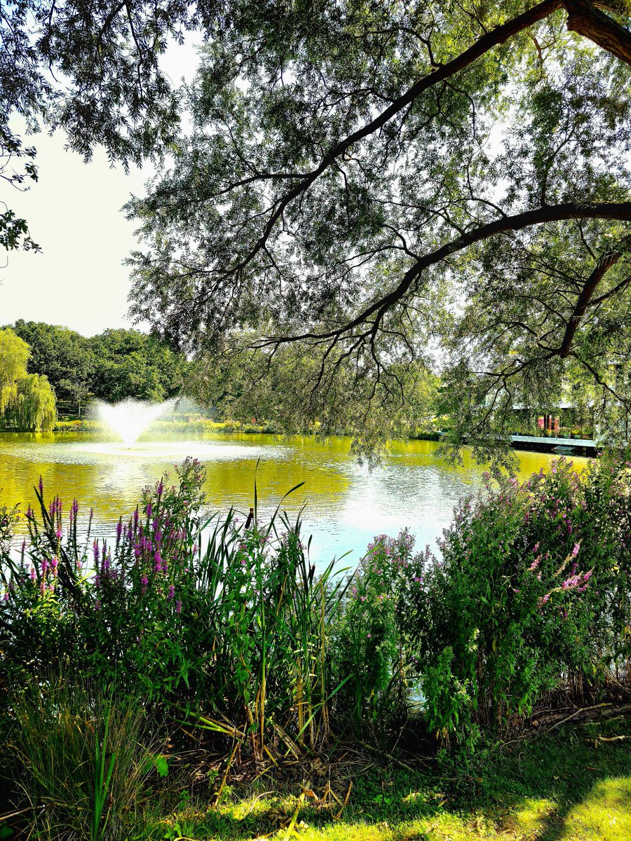 There's less than a week left to vote for Wivenhoe Park in this year's <a href="/GreenFlagAward/">GreenFlagAward</a> People's Choice Award.

Your vote really counts. Help us show how much we love our Colchester Campus grounds: okt.to/Khce3G