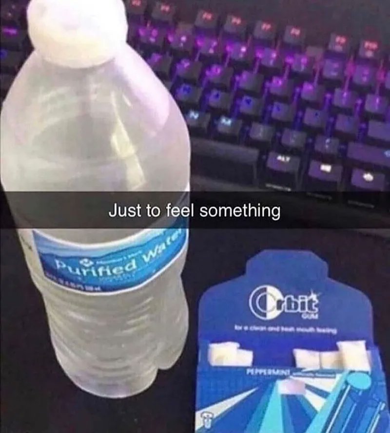 🕐HOURLY🕑 shitpost tweet media