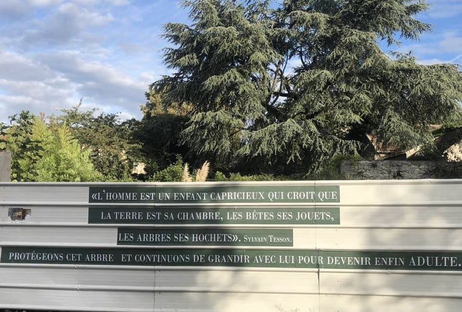 GnsaBagneux's tweet photo. 🆘 Non à l’abattage d’un Cèdre d’Atlas de plus de 100 ans sur Bagneux pour un projet immobilier ! 
✅ Signez la pétition https://t.co/KnN14Q7ZrW 🌳
#Bagneux #Stopabattage #Bagneux92 #Stopbeton #Grandparis #Climat #Pollution #rechauffementclimatique https://t.co/dORzo6tjnJ