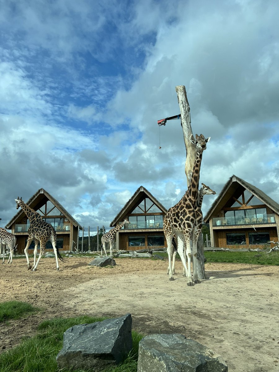 DadsTravels's tweet photo. Lovely family road trip last week. West Midlands safari park, Cornwall and CBeebies land https://t.co/FAnrwrLUrm