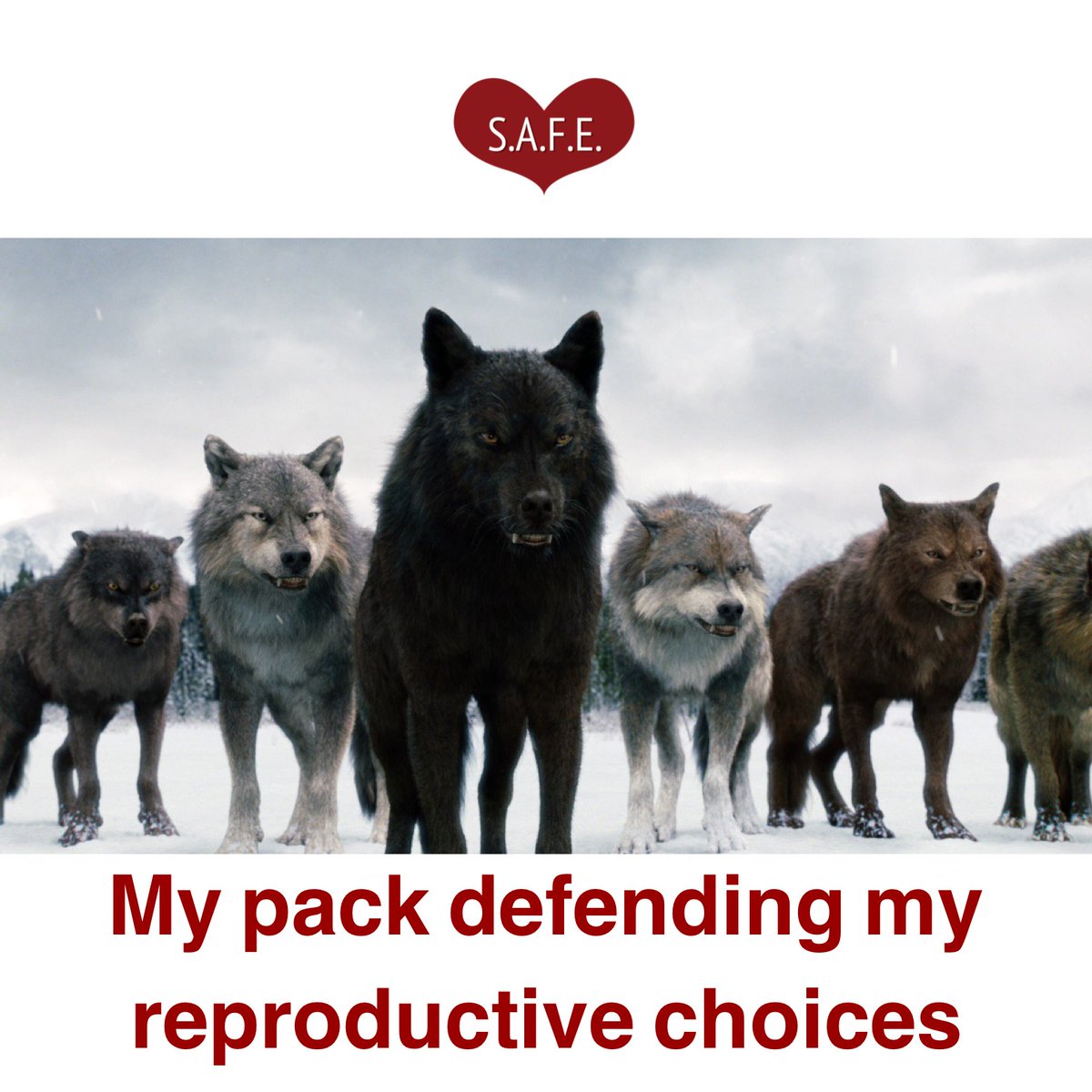 SupportAbort's tweet photo. As the seasons change, we’re feeling sparkly here at SAFE✨

It’s always abortion season!

Check out our merch by Coathanner: https://t.co/xSXFVxt2ak

#MemeMonday #Twilight #AbortionMemes #AbortionSupport #AbortionFunding #AbortionAccess #WeLoveAbortionFunders #AbortionFunders https://t.co/XMjIhJslBw