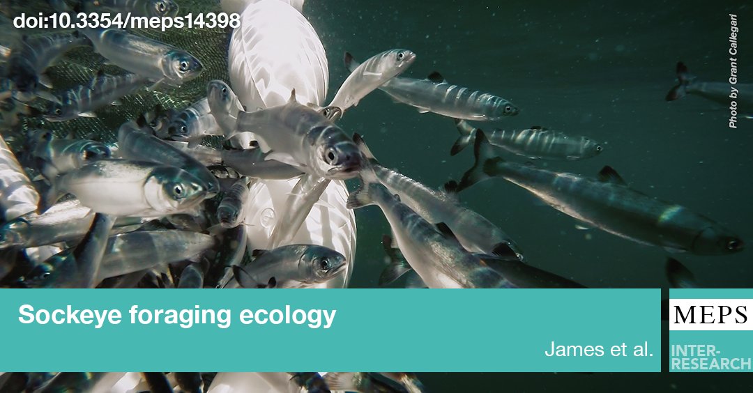 Marine Ecology Progress Series (MEPS) tweet media