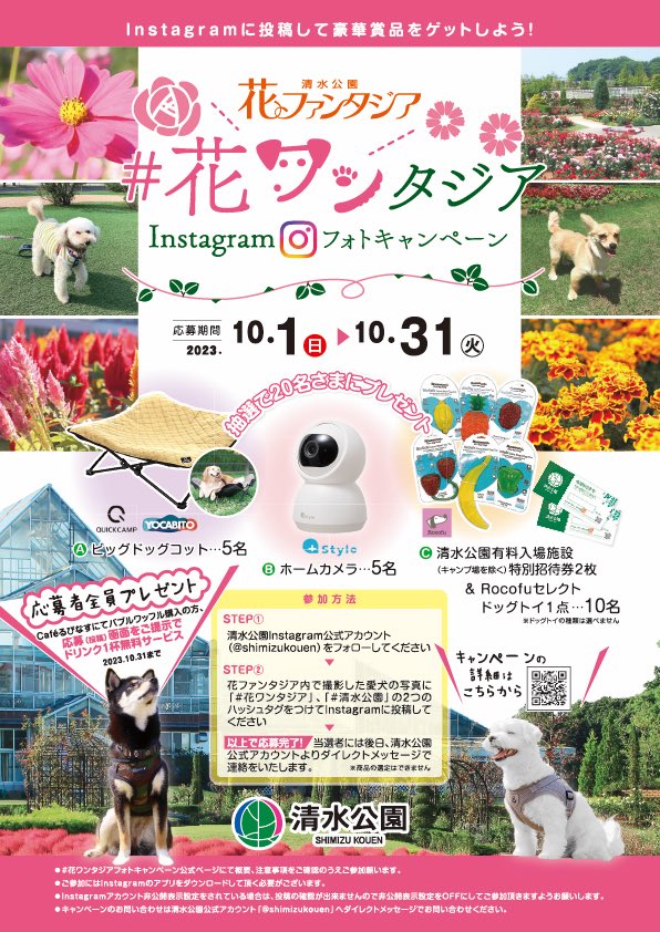 shimizukouen's tweet photo. さらに！
10月1日〜10月31日までの間
インスタグラムフォトキャンペーン「花ワンタジア」を開催します🐩

清水公園のInstagramアカウントをフォローしていただき、花ファンタジアで撮った愛犬の写真を投稿するだけで、ドッグコットやドッグトイなどの商品が抽選で当たります！✨

是非ご参加ください🐶 https://t.co/2UvT2rwfoq