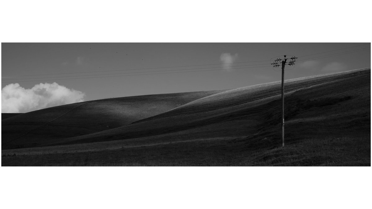 Steve Hawkins tweet media