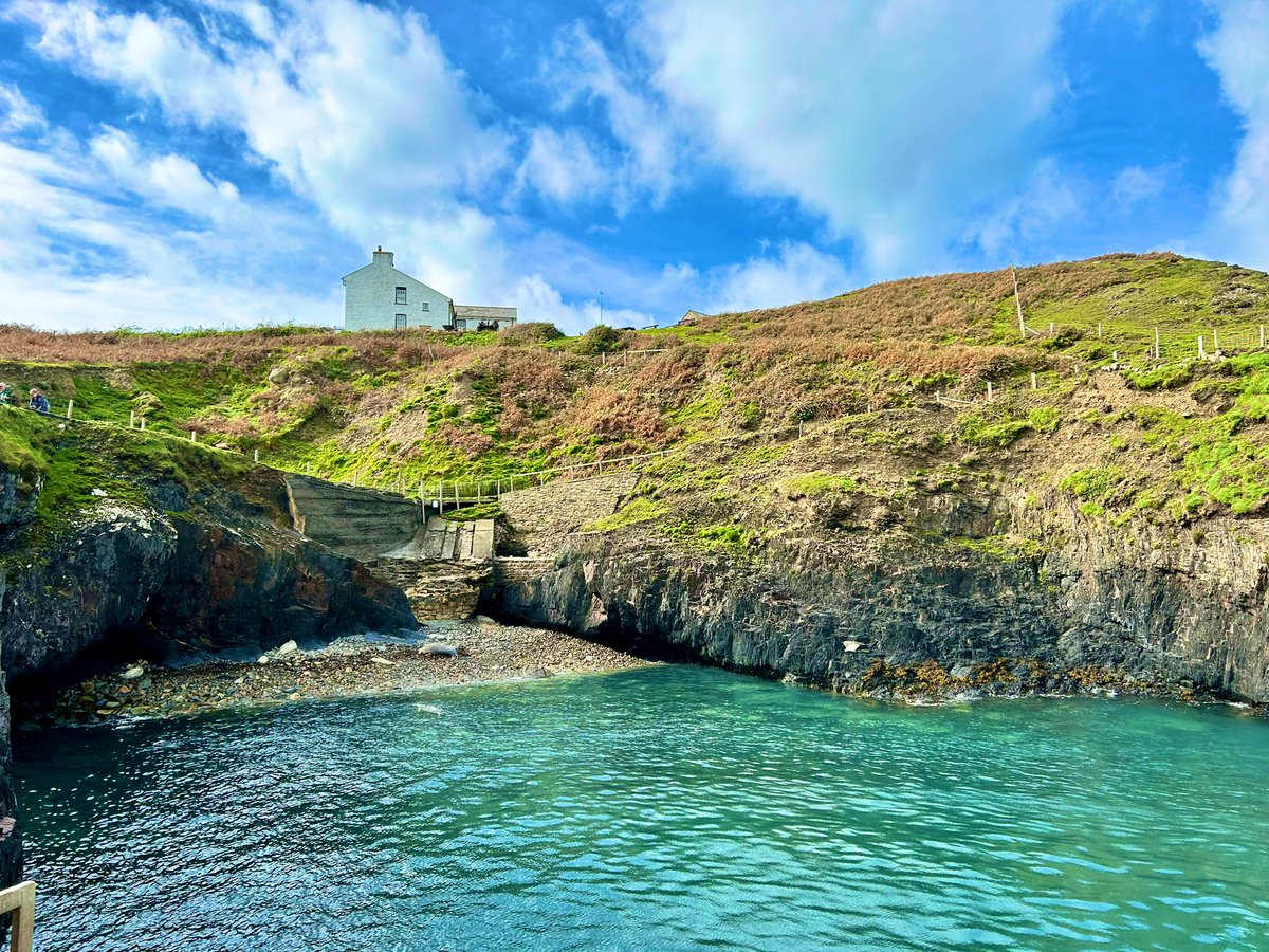 An unprecedented 4 American Land Birds in 24 hours this weekend - Alder Flycatcher, Bay-Breasted Warbler, Canada Warbler &amp; Magnolia Warbler! And all in South Wales! In context - two 3rd records, a 2nd, and a 1st for Britain! 😎🍂🙌!