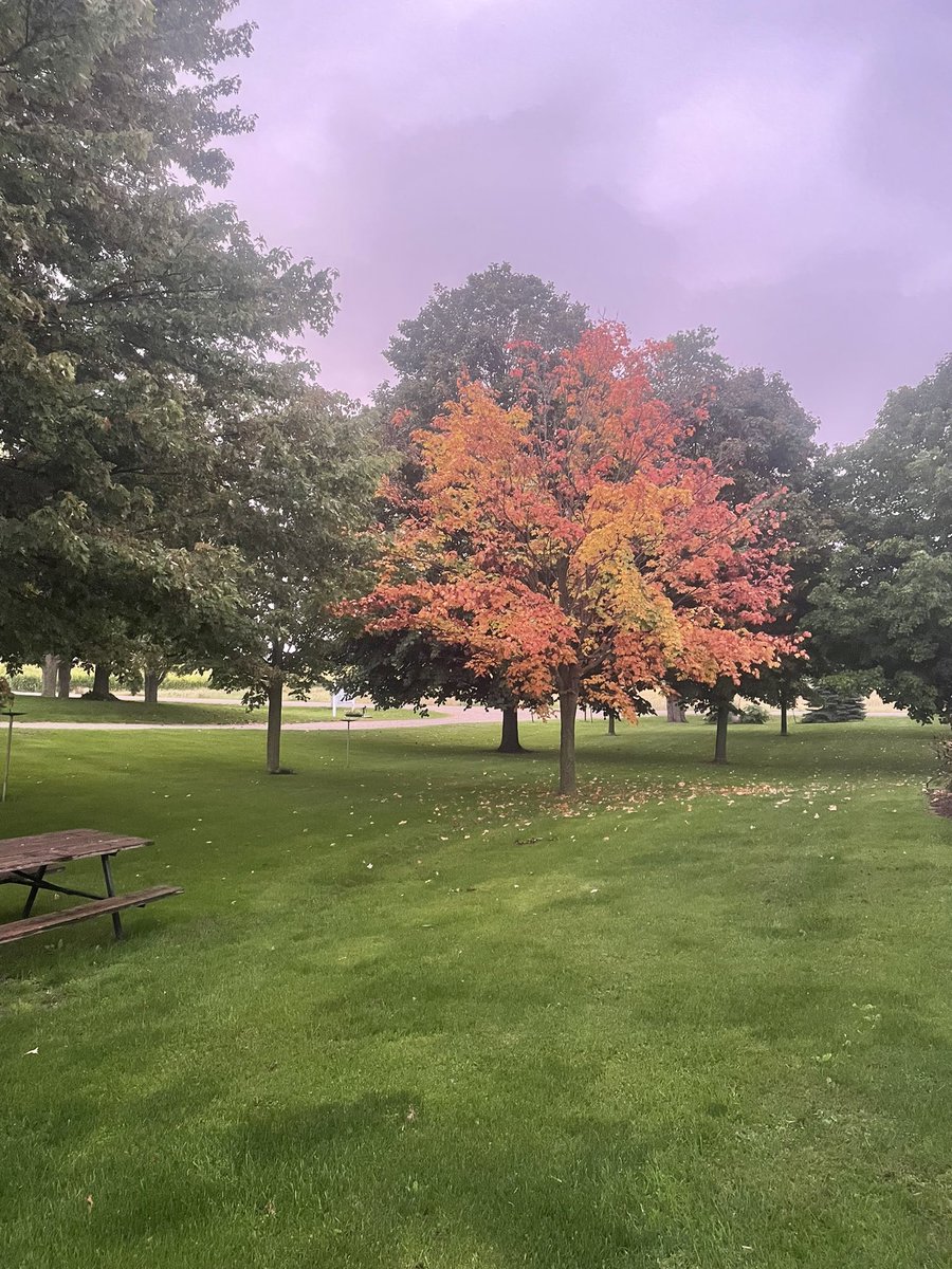 A little fall colour on a cloudy start to the week