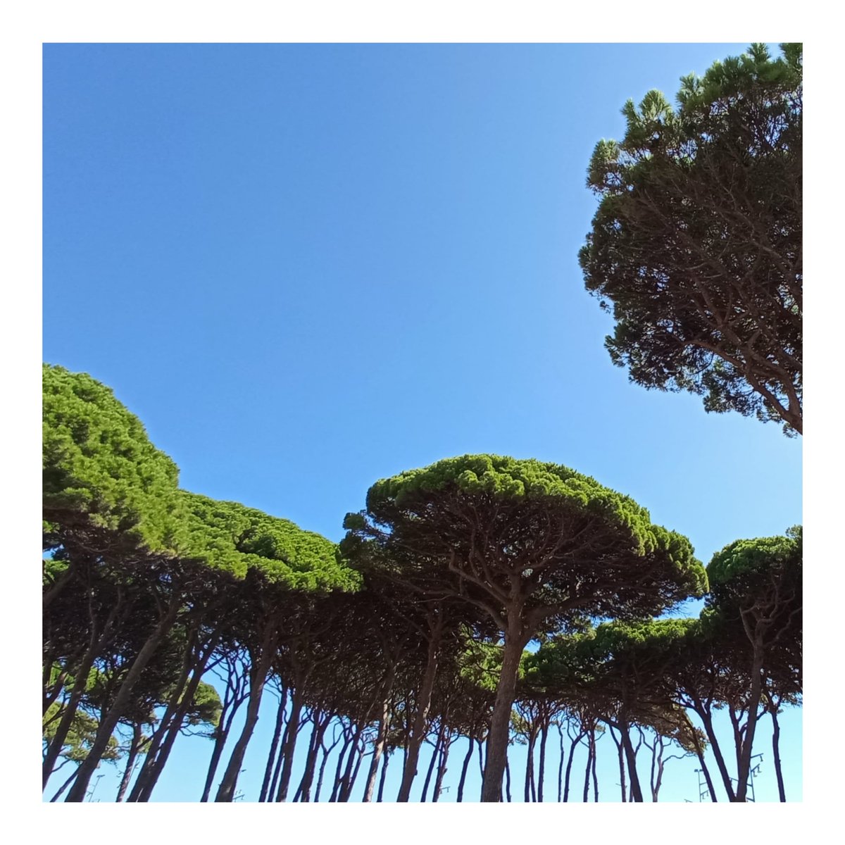 Grasset Serveis Immobiliaris tweet media