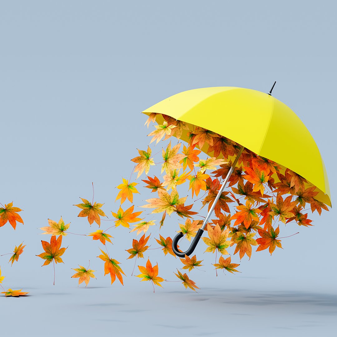 Happy Autumn LiQuid Folk! 🍁🎃 

Why wait for Halloween to satisfy your sweet tooth? Check out our sweet range for a delicious treat 🍬 

Shop now via the link in our bio 🔗 

#vape #vapelife #vapenation #vaping #vapefam #vaper #eliquid #ecigs #onepoundeliquid #autumn2023