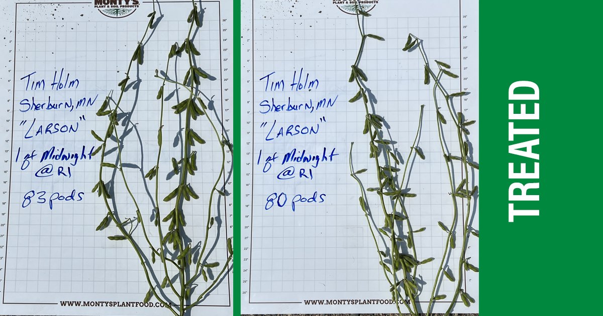 montysplantfood's tweet photo. Josh Frommie, our Territory Manager covering Minnesota, shares another update - this time with Larson's. 1 qt/ac of Midnight was applied at R1 with yet another significant pod increase.
https://t.co/1qjEYiI9km
#humictechnology #soilhealth #humicsleader #nutrientsolutions https://t.co/FUsjmBB0yZ