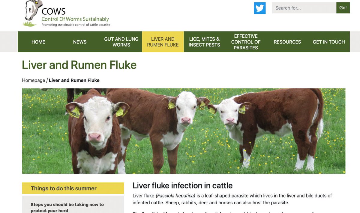 Cattle Parasites tweet media