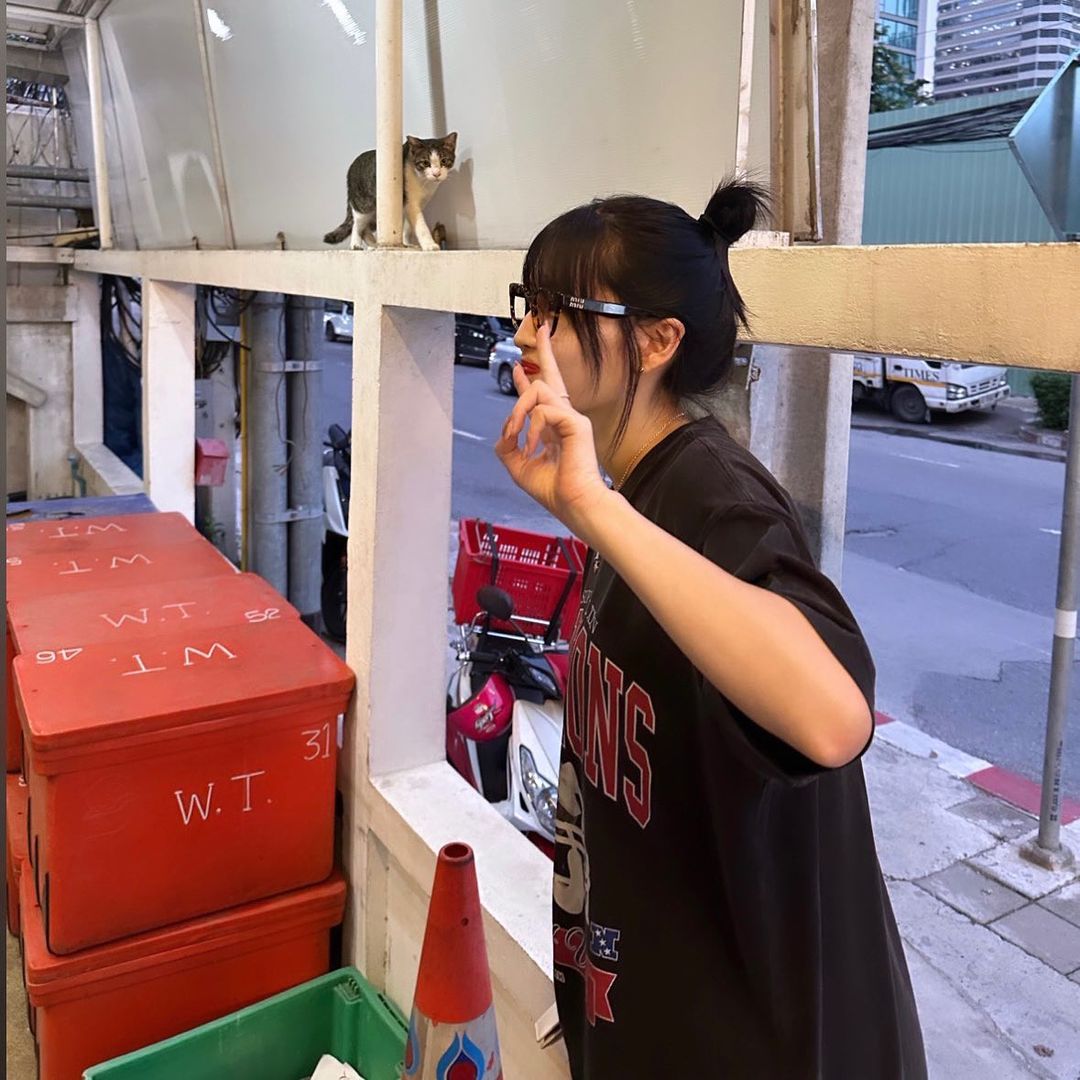 Hazelchousana's tweet photo. โมโมะกับถังน้ำแข็งไทย​ กรวยจราจรไทย เสาไฟฟ้าไทย​ ฟุตปาทไทย​ และแมวไทย https://t.co/e73NP7NU7F