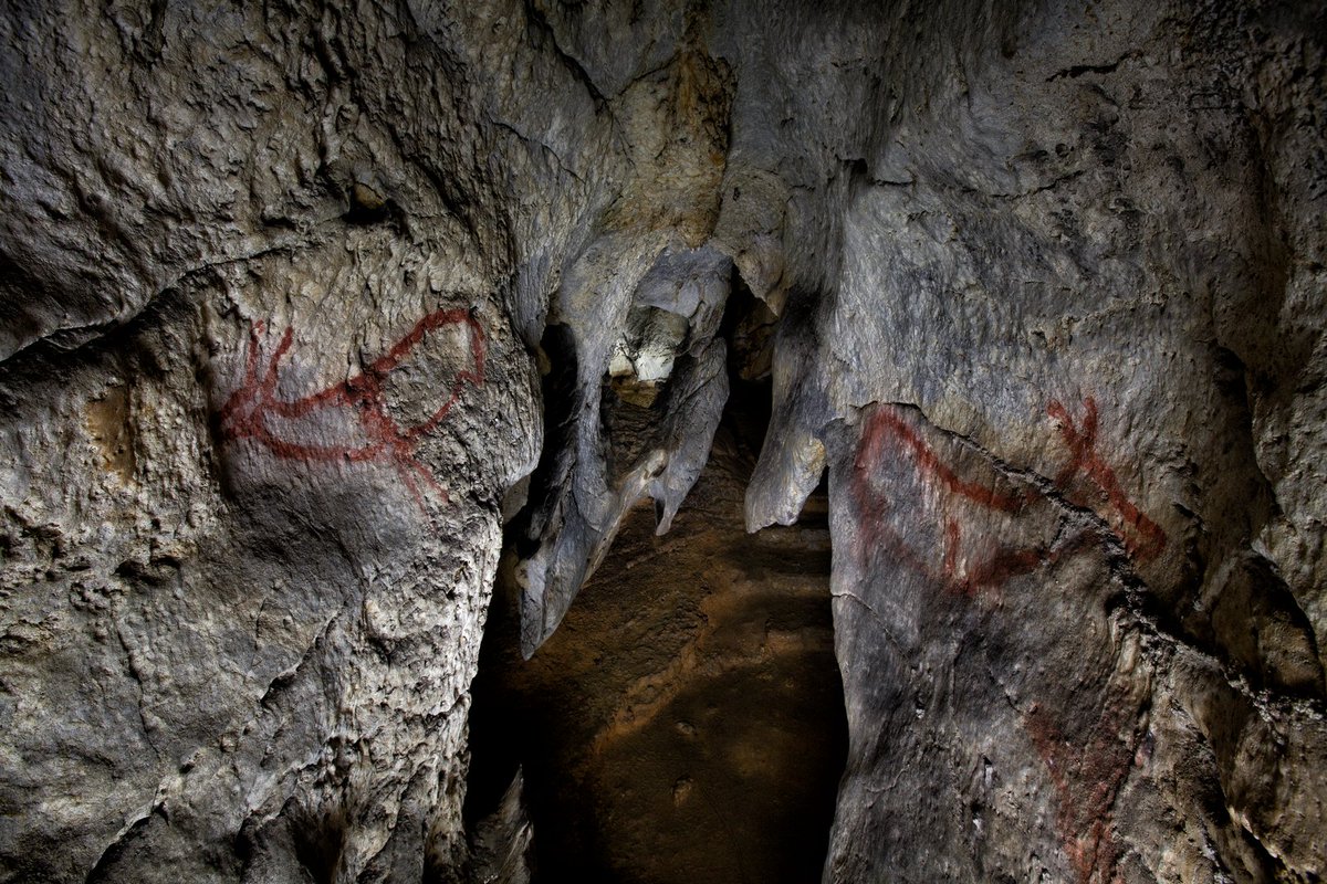 CuevasCant's tweet photo. 🚨 Novedades para visitar #Covalanas
✍ Las #entradas de forma anticipada se pueden reservar en https://t.co/kYzvBVkGNs o en la taquilla de #Cullalvera, junto a la boca de la cavidad
✍️ Más información 👇👩💻
https://t.co/C8pzL5cFze
✍ Por teléfono te atendemos en ☎️942 598 425 https://t.co/O5JJs8t2fx