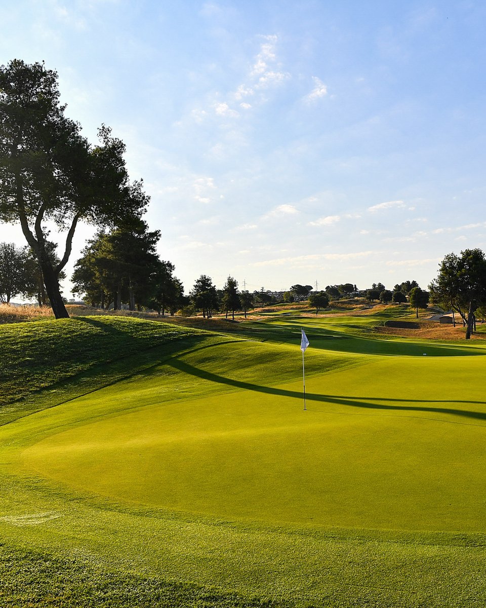 It's Ryder Cup week 🤩