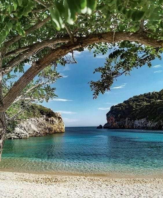 MXGabyVargas's tweet photo. Cambia tu mente y tu vida cambia.
#FelizLunesATodos https://t.co/9UBCeU2NIa