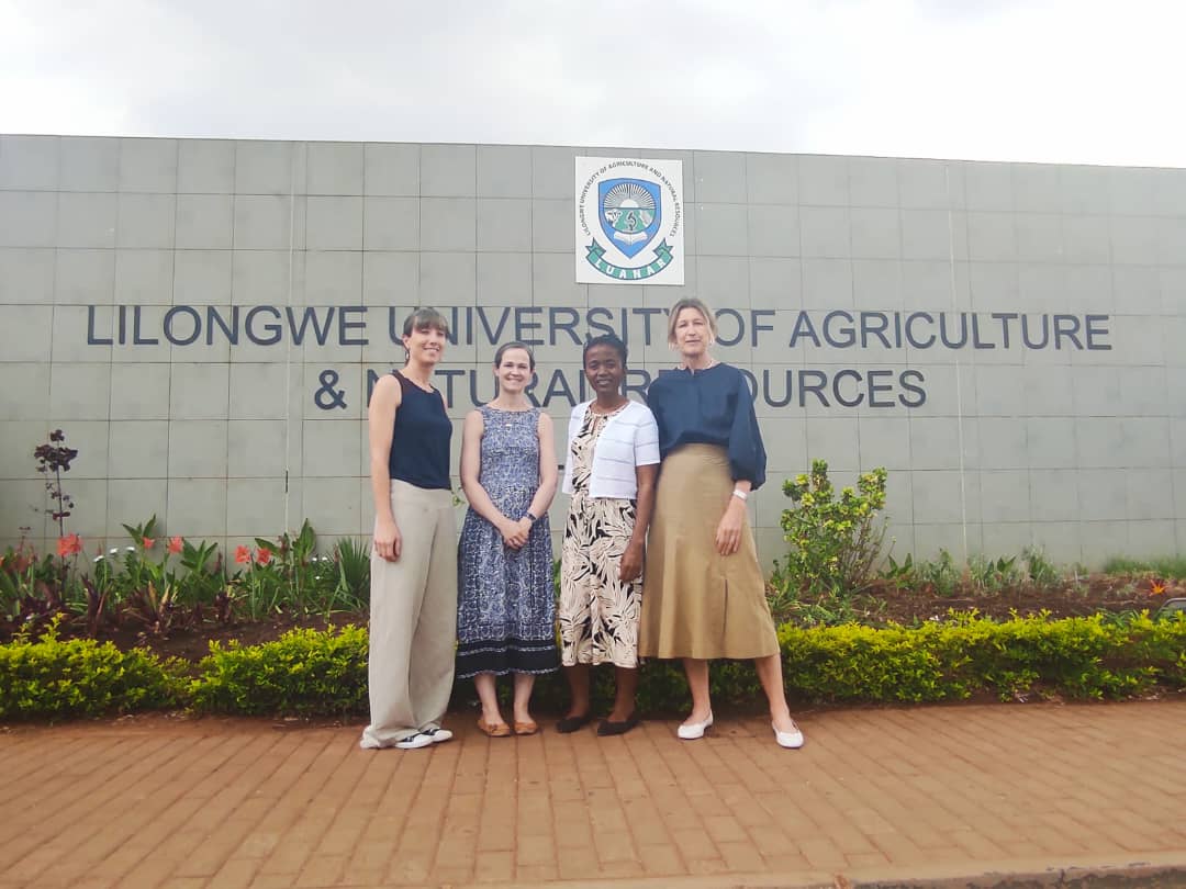 More details about our ESTHER Ireland project and trip shared here:
linkedin.com/posts/sarah-br…