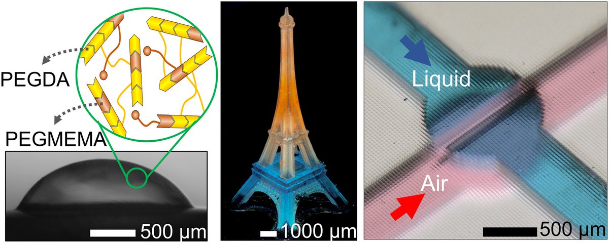LabonaChip's tweet image. Tunable resins with PDMS-like elastic modulus for stereolithographic 3D-printing of multimaterial #microfluidic actuators

Alireza Ahmadianyazdi, Isaac Miller &amp;amp; Albert Folch @FolchLab @UWBioE

🔗pubs.rsc.org/en/content/art…