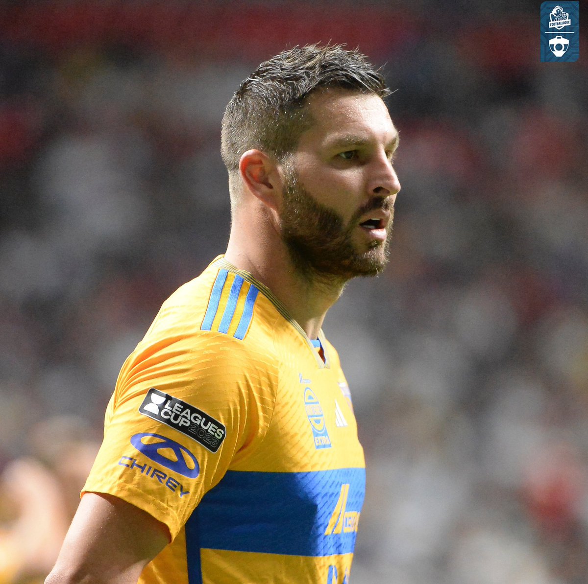 Footballogue's tweet photo. André-Pierre Gignac (37 ans) est devenu une véritable LÉGENDE des Tigres et du football mexicain 🇲🇽

▫️Meilleur buteur de l’histoire des Tigres (194)

 ▫️Meilleur buteur de l’histoire du Clásico Regio (12)

▫️Meilleur buteur de Liga MX en activité  (169)

(@ligamx_fr) https://t.co/jqnTmQLzri