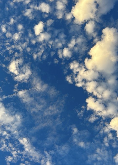 Twitterのコスプレ画像37